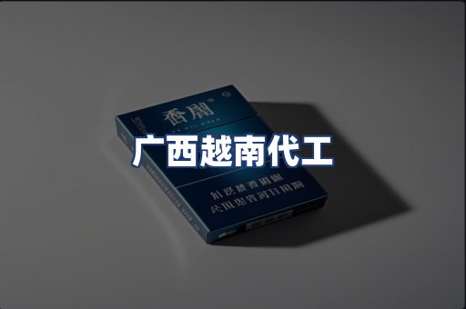 广西越南代工